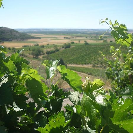 La Cantamora Hotel Rural Pesquera De Duero ภายนอก รูปภาพ