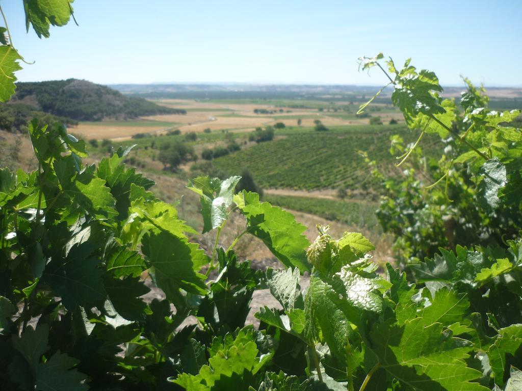 La Cantamora Hotel Rural Pesquera De Duero ภายนอก รูปภาพ
